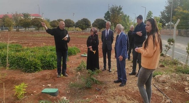 Harran Üniversitesi Dünyanın En Değerli Baharatını Şanlıurfa’ya Yeniden Kazandırdı