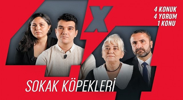 4x4, Sokak Köpekleri Meselesini Masaya Yatırıyor