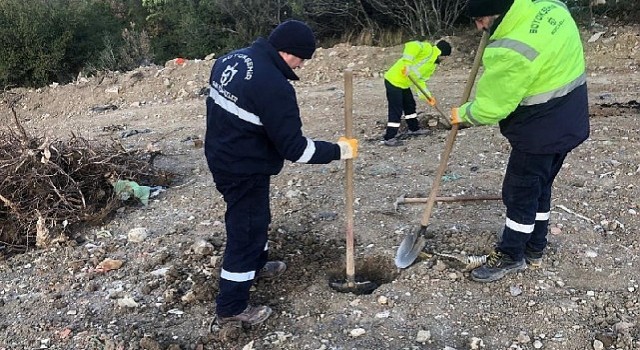 Karamürsel Dereköy&#39;e 1000 ağaç fidanı dikilecek