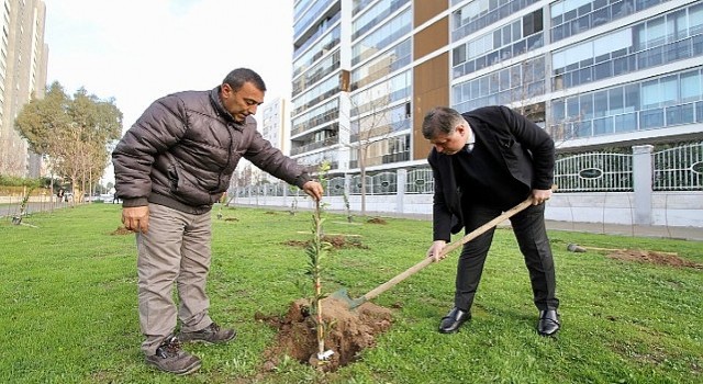 Karşıyaka Meyve Bahçeleriyle Donatılacak