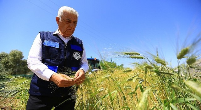 Muğla Büyükşehi den Tarım ve Hayvancılığa Büyük Destek