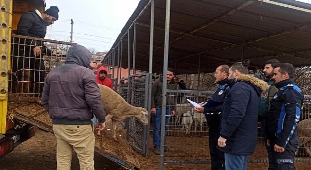 Hayvan Satış Yerinde Denetim Gerçekleştirildi