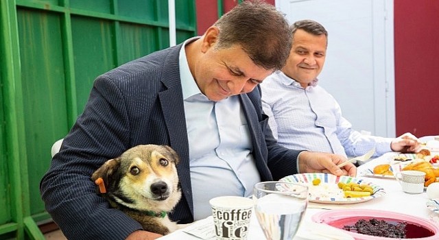 Karşıyakada &apos;Köpeklerin Dili Eğitimi Başlıyor