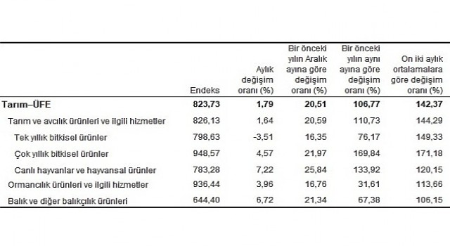 TÜİK: Tarım ürünleri üretici fiyat endeksi (Tarım-ÜFE) yıllık %106,77, aylık %1,79 arttı