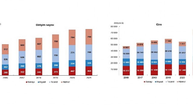 TÜİK: Yurt Dışında Kontrol Edilen Girişim İstatistikleri, 2021