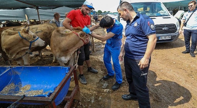 Buca Belediyesinde Kurban Bayramı mesaisi