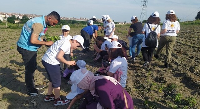 Çocuklar yerel fideleri toprakla buluşturdu