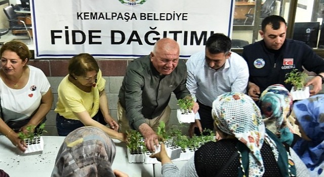 Kemalpaşada Fideler Toprakla Buluşuyor