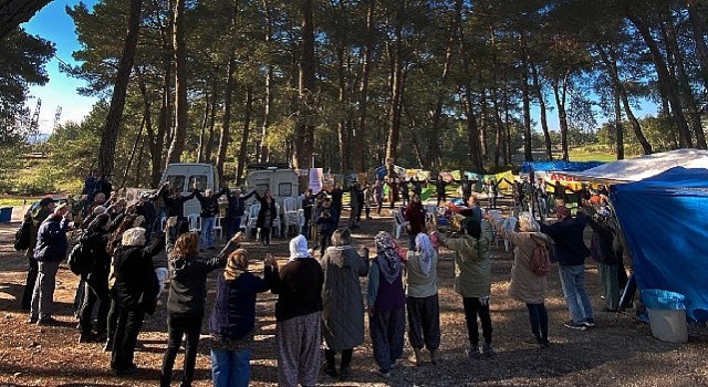 Akbelen Ormanının korunması için sivil toplum kuruluşlarından ortak çağrı!