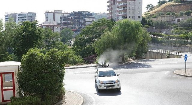 Bayraklı da apos ilaçlama seferberliği