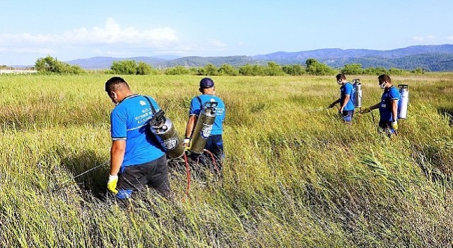 Büyükşehir Vektörle Mücadelede Tüm Birimleri ile Sahada