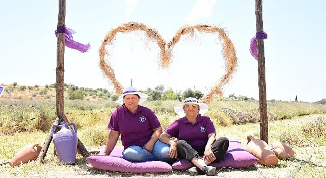 Didimin Mis Kokulu Lavanta Festivaline sayılı günler kaldı