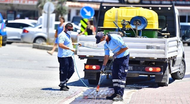 İklim krizi sivrisinek popülasyonunu artırdı