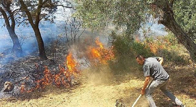 İzmir Kınıktaki yangında Devlet millet el ele verdi