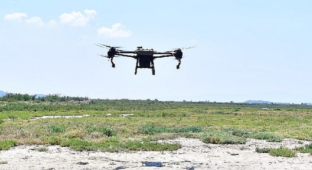 İzmirde sivrisinek ile dronlu mücadele