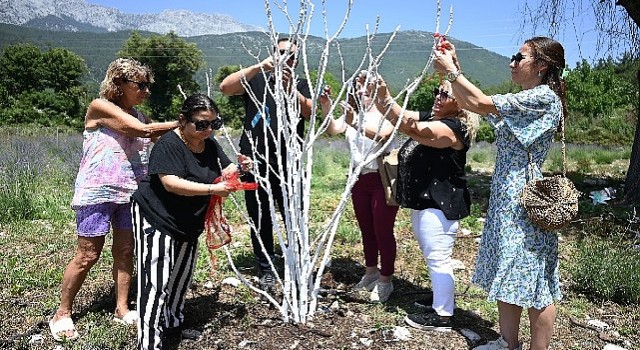 Kemer 39;de “Mor turizm” başlıyor