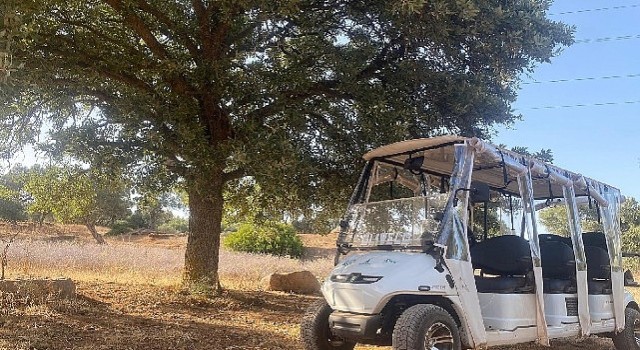 Olivelo Yaşayan Parkta safari turları yarın başlıyor