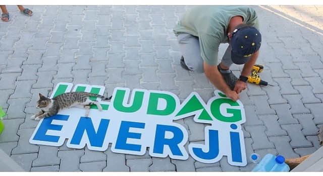 Uludağ Enerji, Hatay Kampüsünde Sokak Hayvanlarını Yalnız Bırakmadı