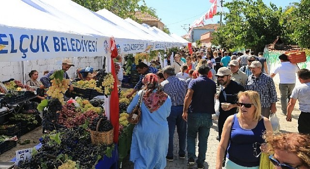 ”Efes Selçuk Gökçealanda Üzüm Şenliği Var”