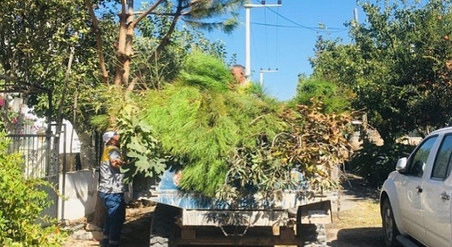 Didimde Mahalle ve Köylerde Çalışmalar Sürüyor