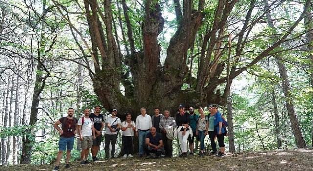 Efeler Yolu Projesine Uluslararası Ödül