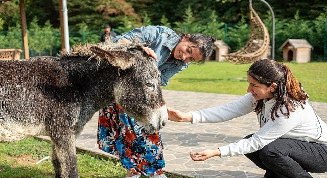 Hepsiburada, 4 Ekim Hayvanları Koruma Gününde Can Dostlarımızı Unutmadı