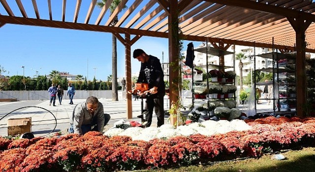 Karabağlar belediyesi 100 Yıl Uğur Mumcu Parkı kasımpatlarıyla renklendi