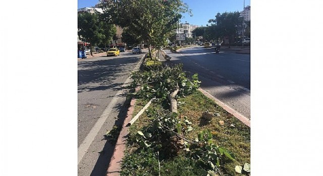 Antalya Büyükşehir ekiplerinin fırtına mesaisi