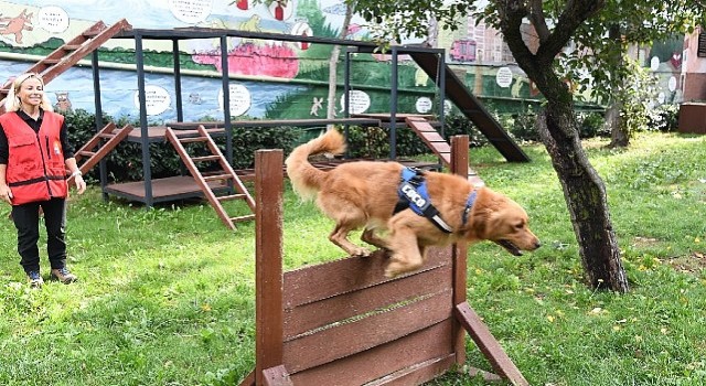 Bak-kadıköy yeni üyesi coco