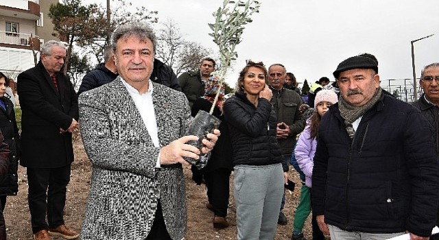 Bornovada zeytincilik eğitimleri devam ediyor