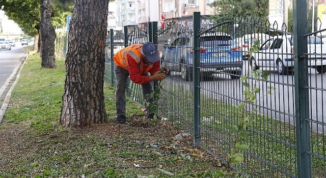 Büyükşehirden Evliya Çelebi Caddesinde refüj çalışması