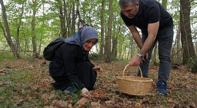 Kocaelinde Ormanyada mantar avı düzenlendi