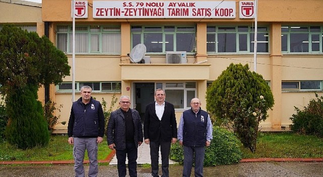 Başkan Ergin: Zeytinliklerimize sahip çıktık