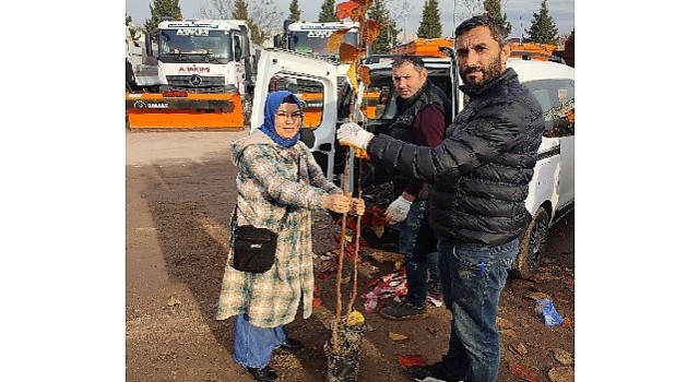 Büyükşehirin yüzde 50 hibeli meyve fidanı dağıtımı başladı