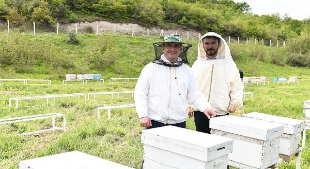 Mustafakemalpaşa tarımda en bereketli dönemini yaşıyor