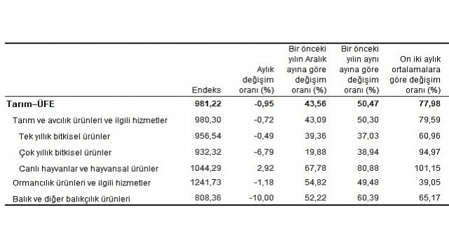 Tarım ürünleri üretici fiyat endeksi (Tarım-ÜFE) yıllık yüzde 50,47 arttı, aylık yüzde 0,95 azaldı