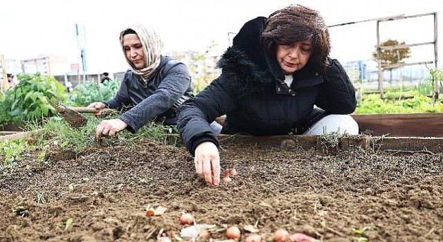 Tarımda mahalle seferberliği bu bostanlar halkın