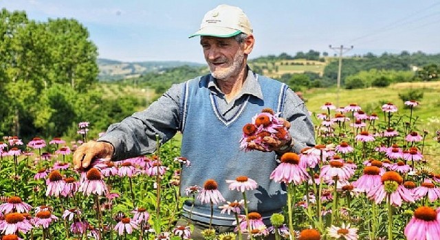 İnegölde 2023 Tarım Yılı Oldu