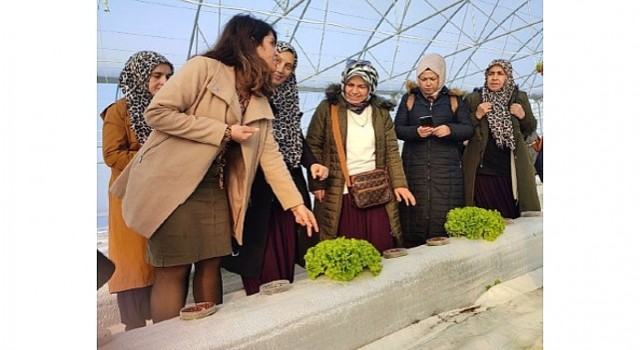 Topraksız tarım projesine kadın çiftçilerden yoğun ilgi