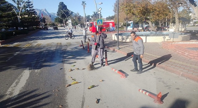 Kemer genelinde temizlik çalışmaları