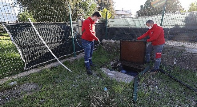 Menderes;te Larva Mücadelesi