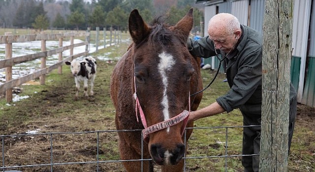 “Yetenekli Dr. Pol”un Yeni Sezonu Şubat Ayında National Geographic WILD Ekranlarında