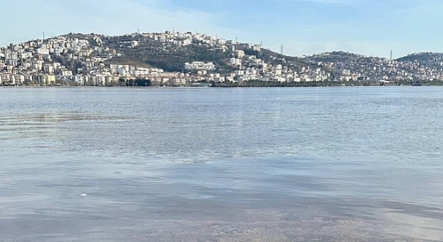 ”İzmit Körfezinde müsilaj yok, kırmızılık mevsimsel geçişten kaynaklanıyor”