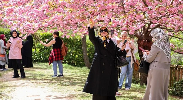 İstanbul Baltalimanındaki Japon Bahçesi ziyaretçilerini hayran bırakıyor