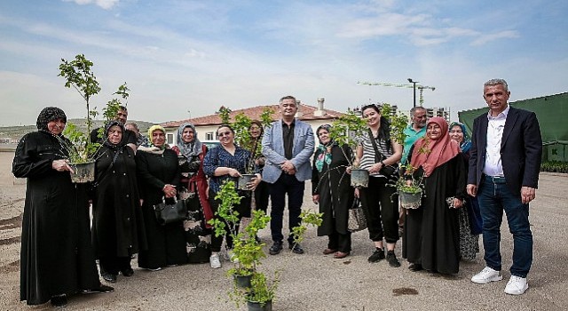 Keçiören Belediyesi tarafından tarımsal üretimi desteklemek için 205 Bin Fide Çiftçilere Dağıtıldı