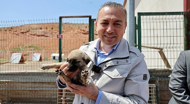 Sivas Belediye Başkanı Dr. Adem Uzun Sokak Hayvanları Bakım ve Rehabilite Merkezini ziyaret etti