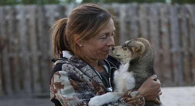 Yukon Veterinerine Saygı Özel Bölümü National Geographic WILD Ekranlarında!