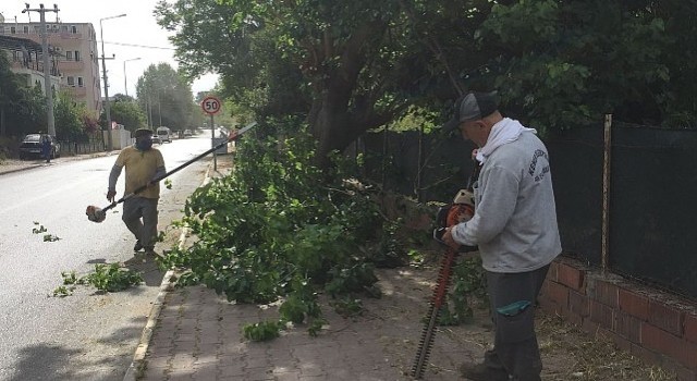 Kemer Belediyesinden yeşil alanlarda bakım çalışmaları