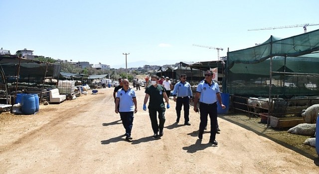 Karabağlarda Kurban Bayramı öncesi sıkı denetim