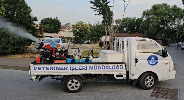 Küçükçekmece Belediyesi, sivrisineklere karşı kapsamlı bir mücadele başlattı